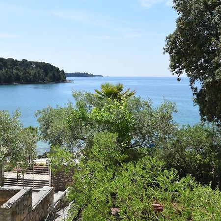 Buric House - Apartments Klasik And Studio Mini Rovinj Extérieur photo